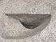 FileNo.195-147.jpg