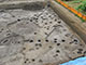 FileNo.195-150.jpg