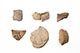 FileNo.195-165.jpg