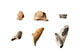 FileNo.195-170.jpg