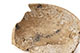 FileNo.195-220.jpg