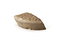FileNo.195-252.jpg