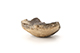 FileNo.195-254.jpg