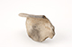 FileNo.195-256.jpg