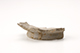 FileNo.195-261.jpg