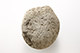 FileNo.195-274.jpg