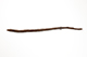 FileNo.195-297.jpg