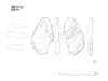 図版 195-JS081.png