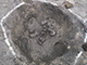 FileNo.196-012.jpg