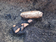 FileNo.196-021.jpg