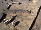 FileNo.196-022.jpg