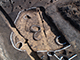 FileNo.196-023.jpg