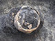 FileNo.196-028.jpg