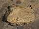 FileNo.196-043.jpg