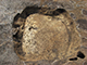 FileNo.196-044.jpg