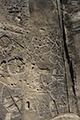 FileNo.196-055.jpg