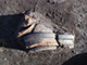 FileNo.196-091.jpg