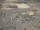 FileNo.196-097.jpg