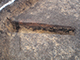 FileNo.196-111.jpg