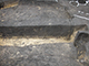 FileNo.196-119.jpg