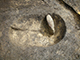 FileNo.196-124.jpg