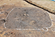FileNo.196-139.jpg