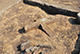 FileNo.196-145.jpg