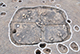 FileNo.196-152.jpg