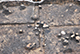 FileNo.196-157.jpg