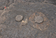 FileNo.196-171.jpg