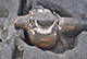 FileNo.196-176.jpg