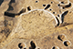 FileNo.196-209.jpg