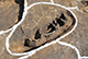 FileNo.196-211.jpg