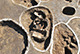 FileNo.196-214.jpg