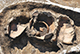 FileNo.196-216.jpg