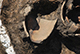 FileNo.196-217.jpg