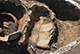 FileNo.196-218.jpg