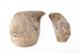 FileNo.196-239.jpg