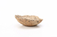 FileNo.196-258.jpg