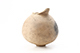 FileNo.196-259.jpg