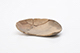 FileNo.196-299.jpg