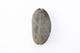 FileNo.196-324.jpg