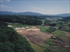 FileNo.22-228.jpg