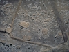 FileNo.22-230.jpg