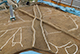 FileNo.197-041.jpg