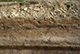 FileNo.197-053.jpg