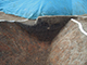 FileNo.197-063.jpg