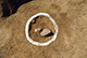FileNo.197-081.jpg