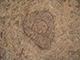 FileNo.197-083.jpg
