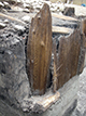 FileNo.197-111.jpg
